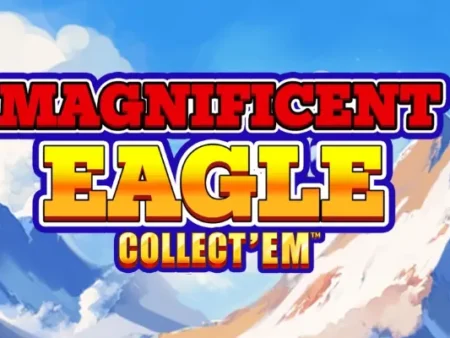 New Game Release – Magnificent Eagle: Collect’Em