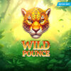 New Game Release – Wild Pounce