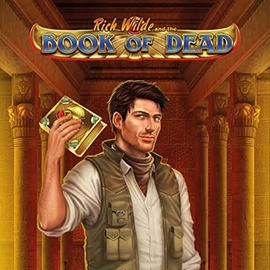 Book of Dead slots from play-n-go