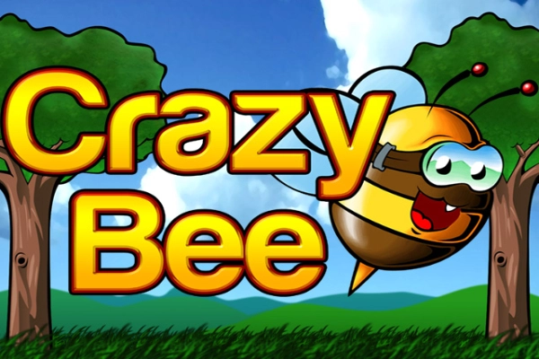 Crazy Bee slots from Amatic