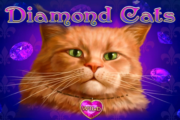 Diamond Cats slots from Amatic