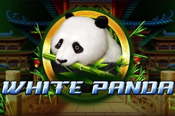 Full Moon: White Panda slots from Playtech