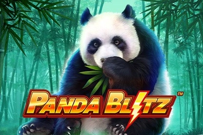 Panda Blitz slots from Playtech
