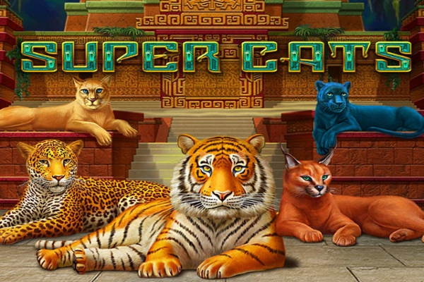Super Cats slots from Amatic