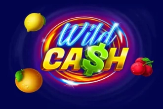 Wild Cash slots from BGaming