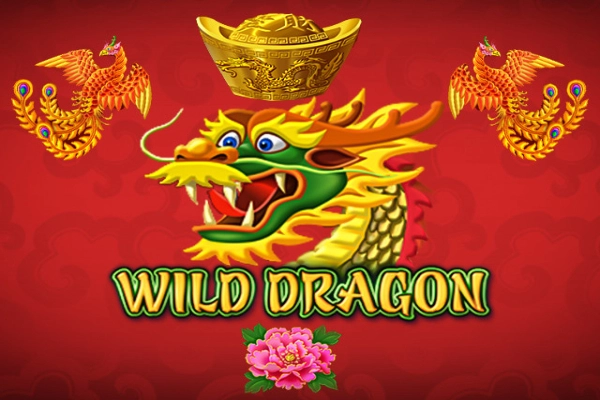 Wild Dragon slots from Amatic Industries