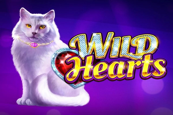Wild Hearts slots from Amatic