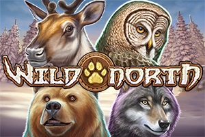 Wild North slots from play-n-go