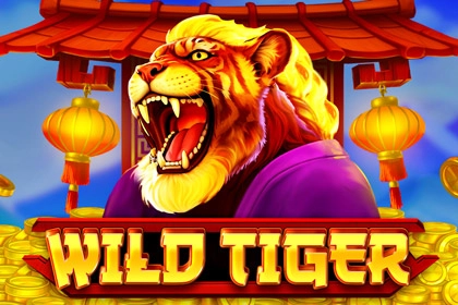 Wild Tiger slots from bgaming