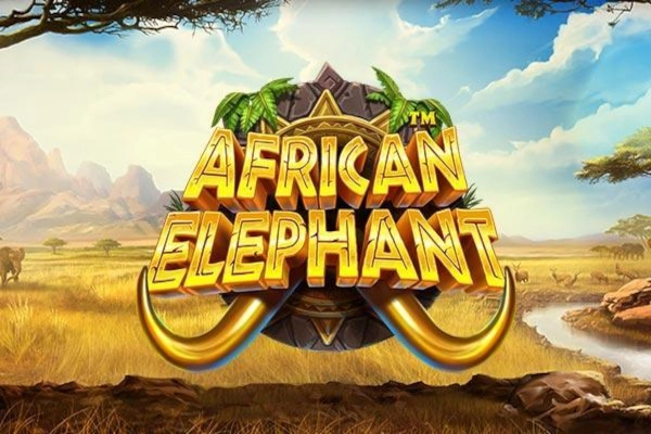 African Elephant from Pragmatic Play
