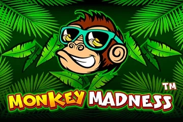 Monkey Madness from Pragmatic Play