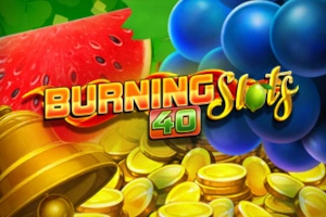 Burning Slots 40 by BF Games