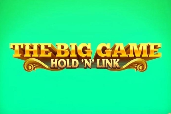 The Big Game Hold ‘n’ Link by NetGame
